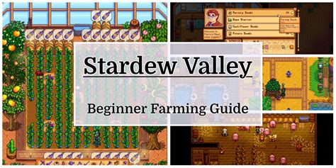 Stardew Valley Farming: A Complete Beginner's Guide .